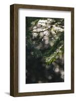 Autumn in the Teutoburg Forest-Nadja Jacke-Framed Photographic Print