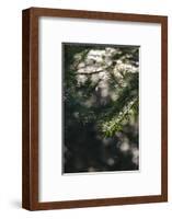 Autumn in the Teutoburg Forest-Nadja Jacke-Framed Photographic Print