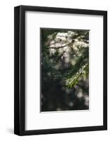 Autumn in the Teutoburg Forest-Nadja Jacke-Framed Photographic Print