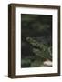 Autumn in the Teutoburg Forest-Nadja Jacke-Framed Photographic Print