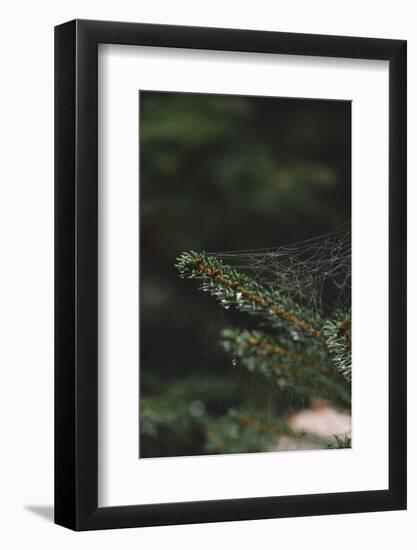 Autumn in the Teutoburg Forest-Nadja Jacke-Framed Photographic Print