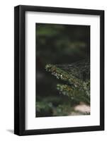 Autumn in the Teutoburg Forest-Nadja Jacke-Framed Photographic Print