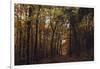 Autumn in the Teutoburg Forest.-Nadja Jacke-Framed Photographic Print