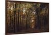 Autumn in the Teutoburg Forest.-Nadja Jacke-Framed Photographic Print