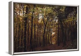 Autumn in the Teutoburg Forest.-Nadja Jacke-Framed Photographic Print