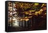 Autumn in the Teutoburg Forest.-Nadja Jacke-Framed Stretched Canvas