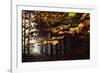 Autumn in the Teutoburg Forest.-Nadja Jacke-Framed Photographic Print