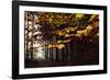 Autumn in the Teutoburg Forest.-Nadja Jacke-Framed Photographic Print