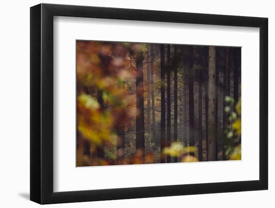 Autumn in the Teutoburg Forest.-Nadja Jacke-Framed Photographic Print