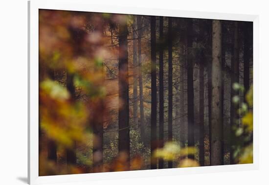 Autumn in the Teutoburg Forest.-Nadja Jacke-Framed Photographic Print