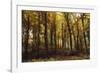 Autumn in the Teutoburg Forest.-Nadja Jacke-Framed Photographic Print