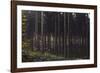 Autumn in the Teutoburg Forest.-Nadja Jacke-Framed Photographic Print