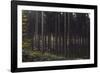 Autumn in the Teutoburg Forest.-Nadja Jacke-Framed Photographic Print