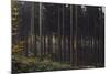 Autumn in the Teutoburg Forest.-Nadja Jacke-Mounted Photographic Print
