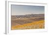 Autumn in the Vineyards of Chablis, Burgundy, France, Europe-Julian Elliott-Framed Photographic Print