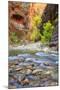 Autumn in The Virgin Narrows, Southern Utah-Vincent James-Mounted Photographic Print