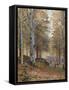 Autumn in the Woods-James Thomas Watts-Framed Stretched Canvas