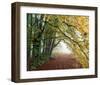 Autumn in Trees-null-Framed Art Print