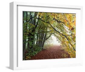 Autumn in Trees-null-Framed Art Print