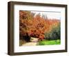 Autumn In Umbria Golden Colours-Dorothy Berry-Lound-Framed Giclee Print