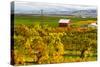 Autumn in Walla Walla Wine Country, Walla Walla, Washington, USA-Richard Duval-Stretched Canvas