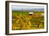 Autumn in Walla Walla Wine Country, Walla Walla, Washington, USA-Richard Duval-Framed Photographic Print