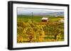 Autumn in Walla Walla Wine Country, Walla Walla, Washington, USA-Richard Duval-Framed Photographic Print
