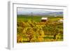 Autumn in Walla Walla Wine Country, Walla Walla, Washington, USA-Richard Duval-Framed Photographic Print