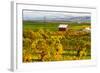 Autumn in Walla Walla Wine Country, Walla Walla, Washington, USA-Richard Duval-Framed Photographic Print