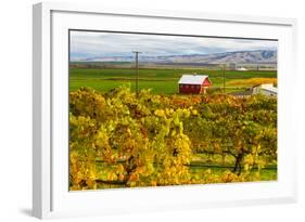 Autumn in Walla Walla Wine Country, Walla Walla, Washington, USA-Richard Duval-Framed Photographic Print