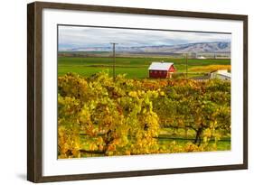 Autumn in Walla Walla Wine Country, Walla Walla, Washington, USA-Richard Duval-Framed Photographic Print