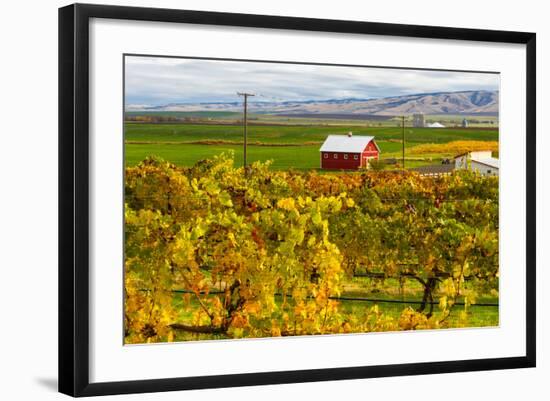 Autumn in Walla Walla Wine Country, Walla Walla, Washington, USA-Richard Duval-Framed Photographic Print