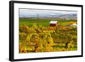 Autumn in Walla Walla Wine Country, Walla Walla, Washington, USA-Richard Duval-Framed Photographic Print