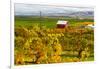 Autumn in Walla Walla Wine Country, Walla Walla, Washington, USA-Richard Duval-Framed Photographic Print