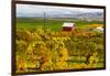 Autumn in Walla Walla Wine Country, Walla Walla, Washington, USA-Richard Duval-Framed Photographic Print