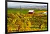 Autumn in Walla Walla Wine Country, Walla Walla, Washington, USA-Richard Duval-Framed Photographic Print