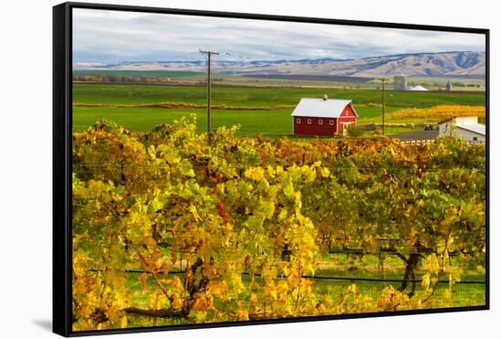 Autumn in Walla Walla Wine Country, Walla Walla, Washington, USA-Richard Duval-Framed Stretched Canvas