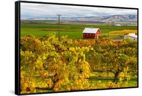 Autumn in Walla Walla Wine Country, Walla Walla, Washington, USA-Richard Duval-Framed Stretched Canvas