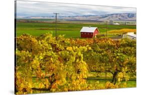 Autumn in Walla Walla Wine Country, Walla Walla, Washington, USA-Richard Duval-Stretched Canvas