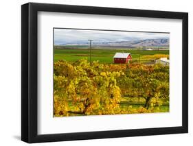 Autumn in Walla Walla Wine Country, Walla Walla, Washington, USA-Richard Duval-Framed Photographic Print