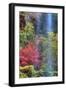 Autumn in Zion Canyon, Southern Utah-Vincent James-Framed Photographic Print