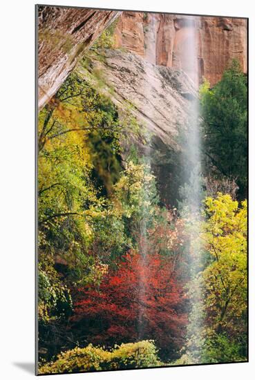 Autumn in Zion Canyon, Southwest, Utah, National Parks-Vincent James-Mounted Photographic Print