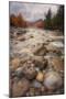 Autumn Inside the Pemigewasset River, New Hampshire-Vincent James-Mounted Photographic Print