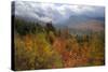 Autumn Inside the White Mountains, New Hampshire-Vincent James-Stretched Canvas