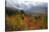 Autumn Inside the White Mountains, New Hampshire-Vincent James-Stretched Canvas