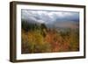 Autumn Inside the White Mountains, New Hampshire-Vincent James-Framed Photographic Print