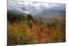 Autumn Inside the White Mountains, New Hampshire-Vincent James-Mounted Photographic Print