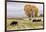 Autumn into Winter - fresh snow falls on autumn trees and cows outside of Ridgway Colorado-Panoramic Images-Framed Photographic Print