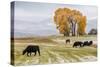 Autumn into Winter - fresh snow falls on autumn trees and cows outside of Ridgway Colorado-Panoramic Images-Stretched Canvas