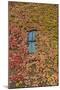 Autumn Ivy, Fargo, North Dakota, USA-Walter Bibikow-Mounted Photographic Print